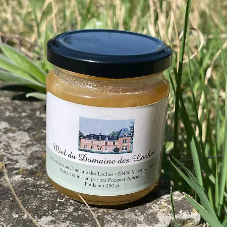 Domaine Des Loches **** בית נופש *