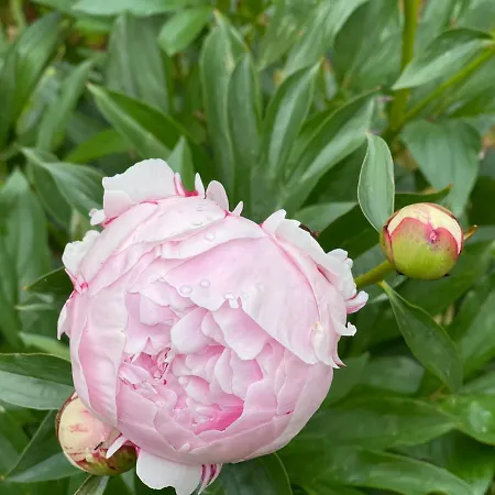 Domaine Des Loches **** *