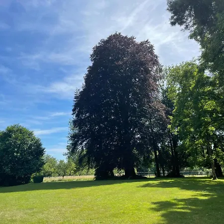 בית נופש Domaine Des Loches **** Mazerny