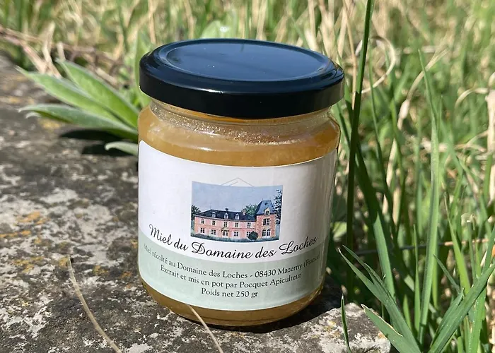 Domaine Des Loches **** Vakantiehuis *