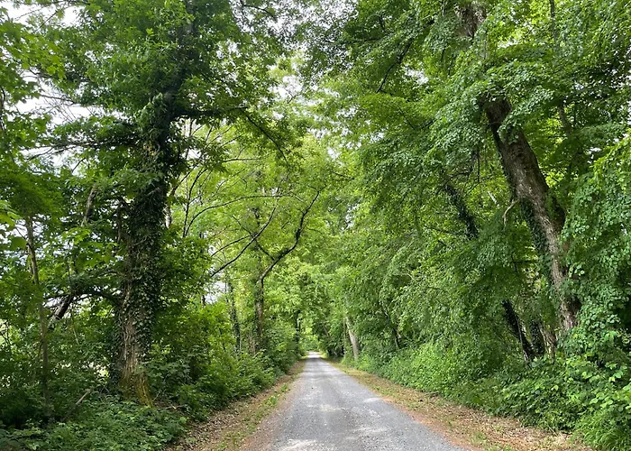 Vakantiehuis Domaine Des Loches **** *