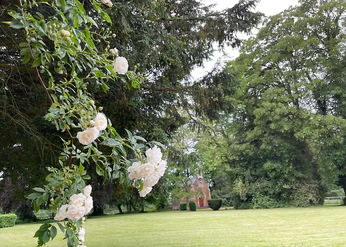 Domaine Des Loches **** Mazerny