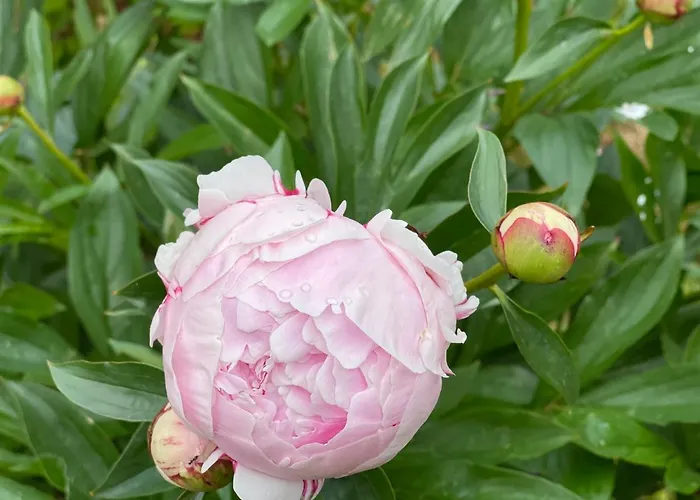 Domaine Des Loches **** *