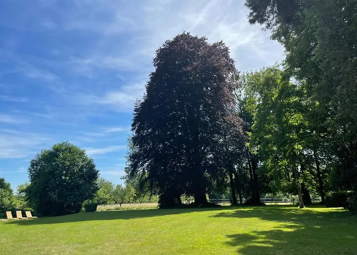 Vakantiehuis Domaine Des Loches **** Mazerny